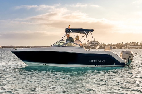 Robalo R227